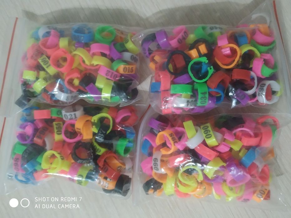 Голуби  для голубей