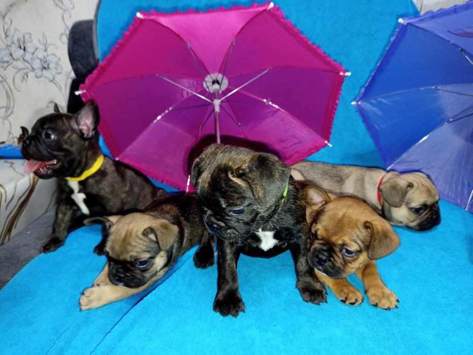 Ранее бранирование