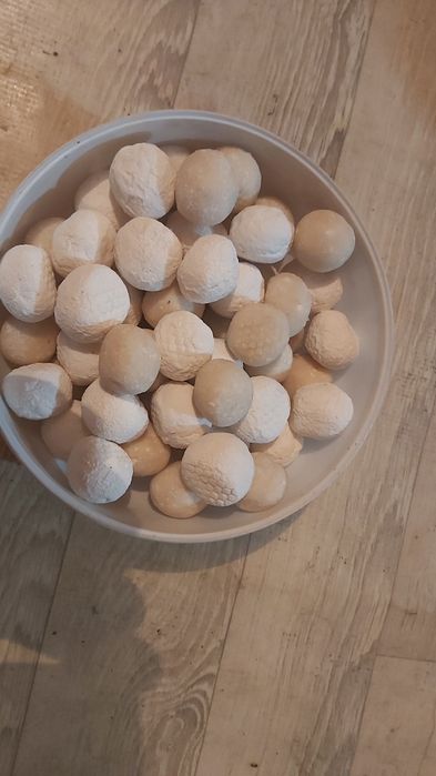 Продам  курт козьй домашний