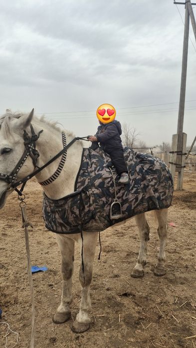 6 жасар бойы 1,70см үстінде