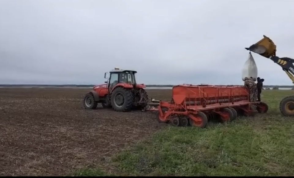 Сеялка сзт продам