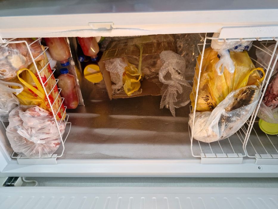 Морозильник Electrolux