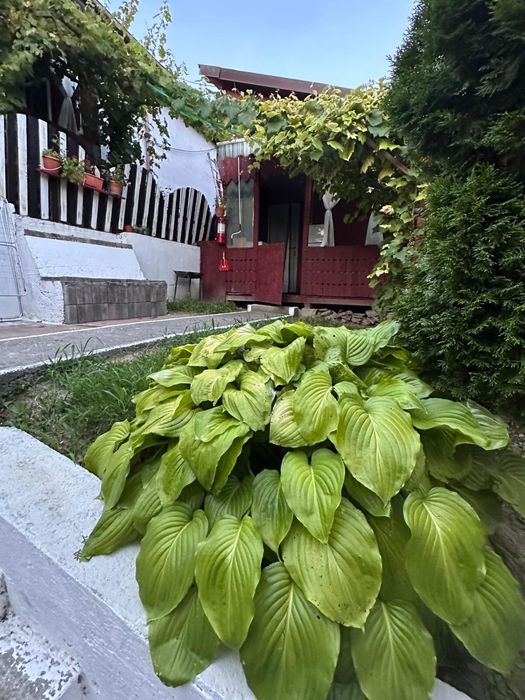 Afacere turistică de vânzare în Ocnele Mari – lângă Ștrand