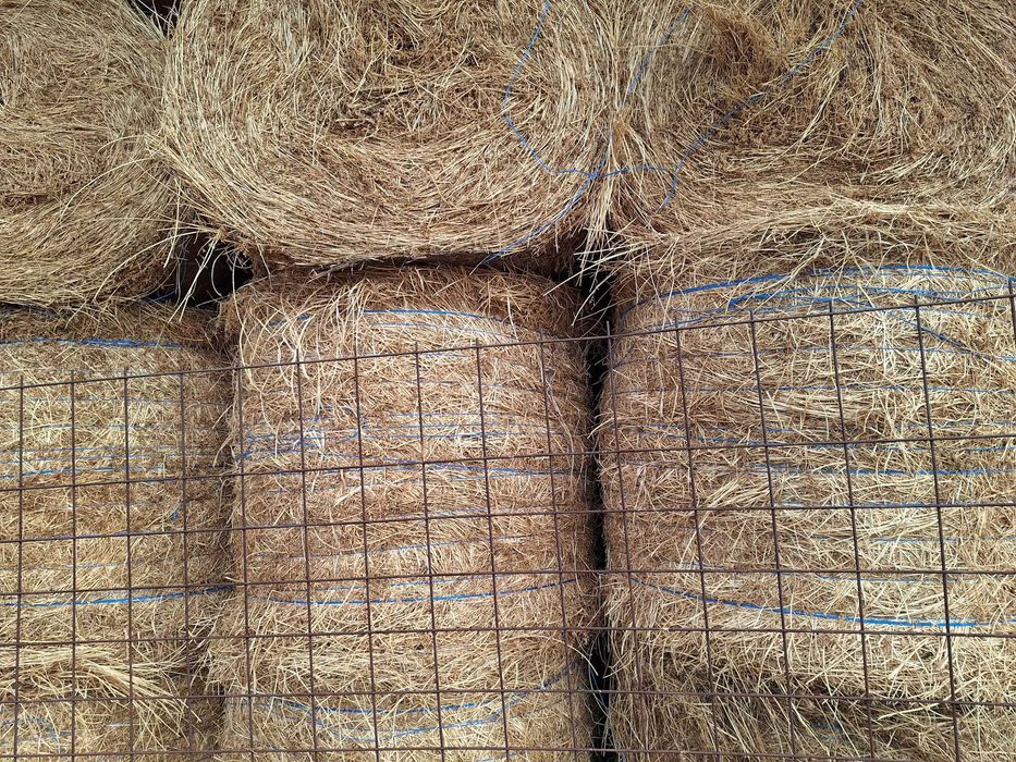 Baloti lucerna rotunzi 120x120si baloti dreptunghiulari