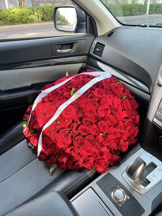 Розы. Акция на розы.