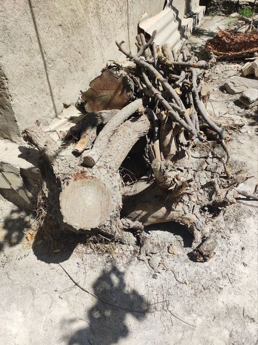 O'tin va kundalar sotiladi. Bir moshin bor