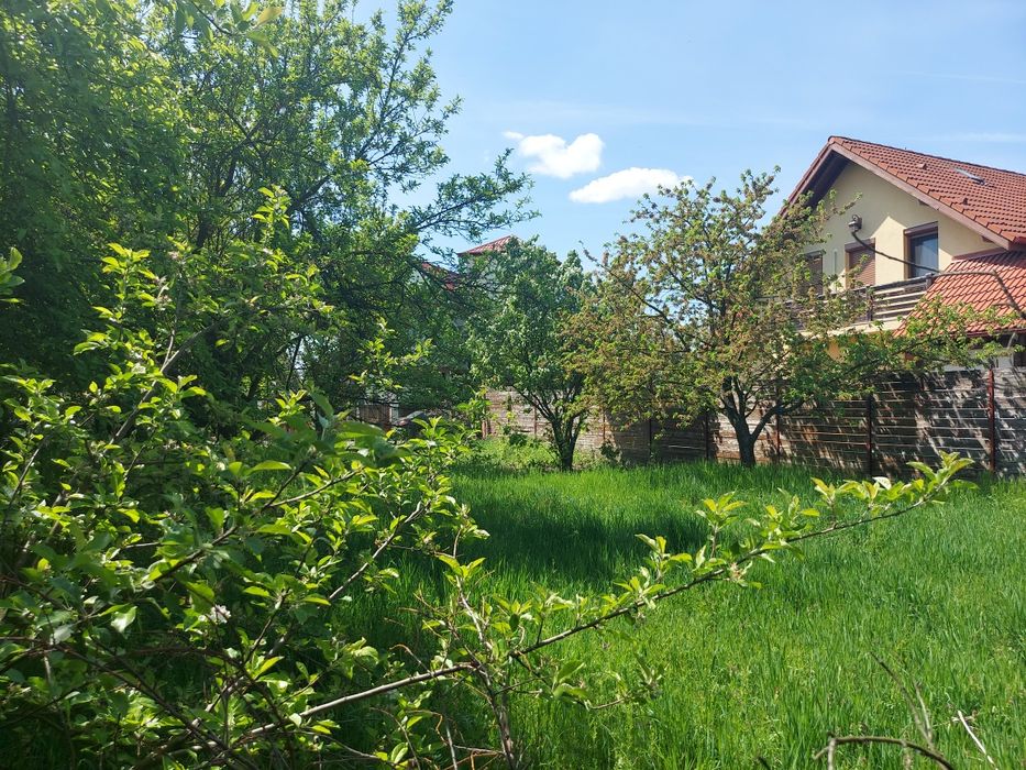 Vand in Timisoara teren pentru casa
