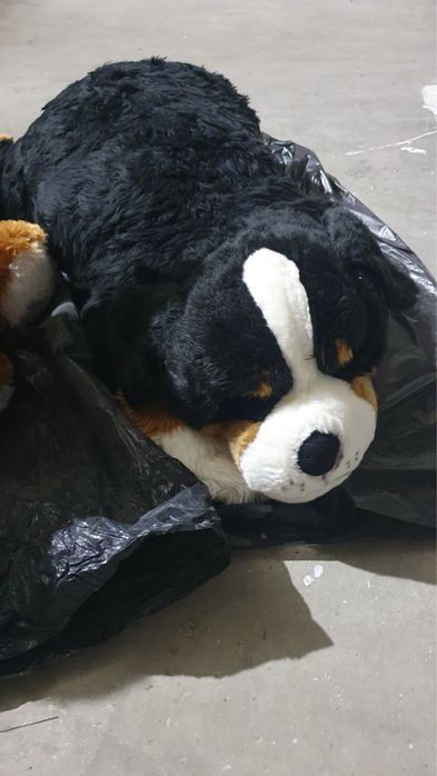 Големи плюшени кученца