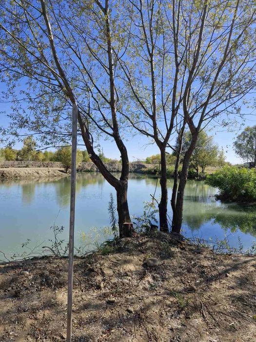 Рибарник/Водоем зарибен Промоция до Нова Година