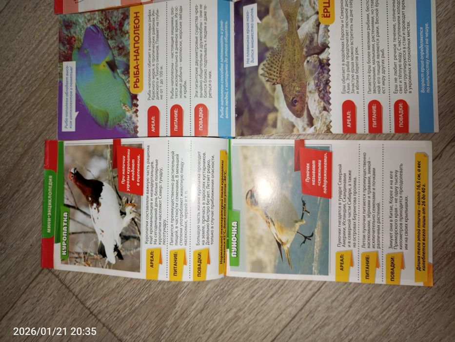 Мини-энциклопедия для детей