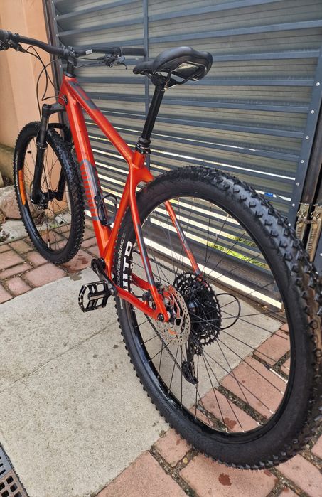 Bicicleta MTB Carbon