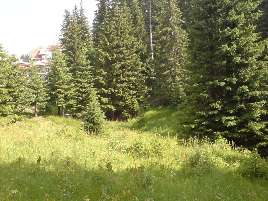 Продава се Парцел в Пловдив, Старият град - 3565 кв.м за 20 €/кв.м - Снимка #6