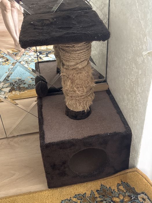 Отдам бесплатно когтеточку