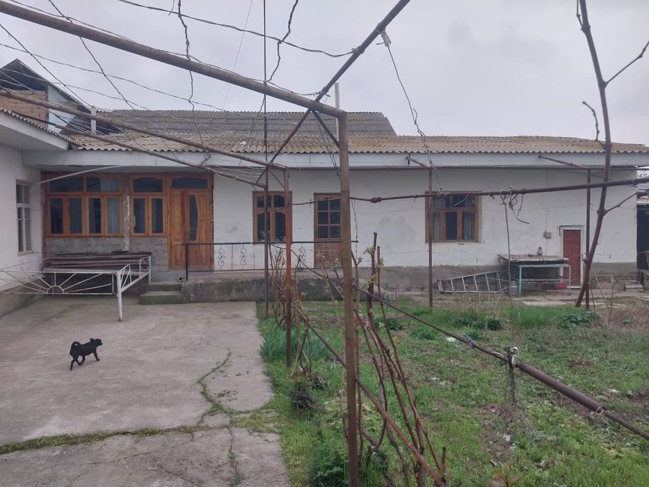 Yangibozor sotik 12.000mingdan yaxwi maxalla