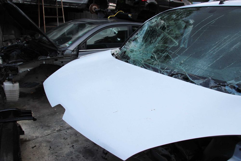 Рено Канго 1.9 dCi   - само за части