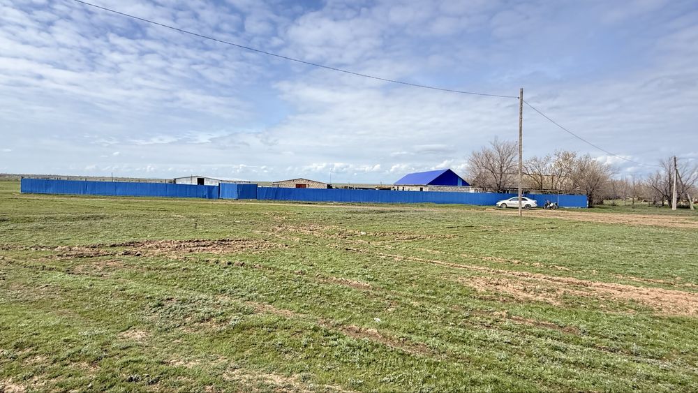 Продам хозяйство