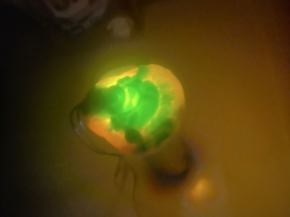 камень нефрит высокое качество