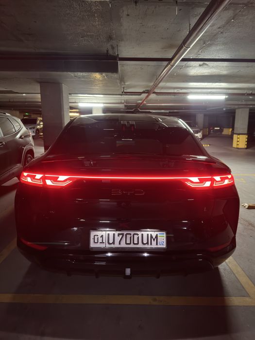 Byd song L 4 poz