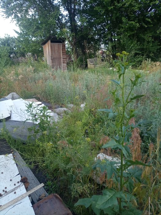 Продам участок с вагончиком