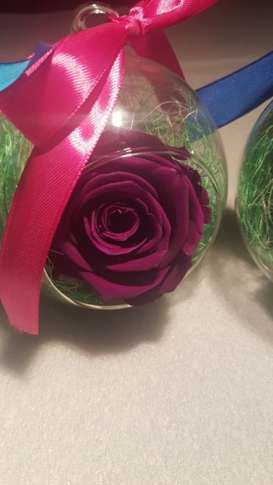 Trandafiri criogenati Cadou de Constantin si Elena