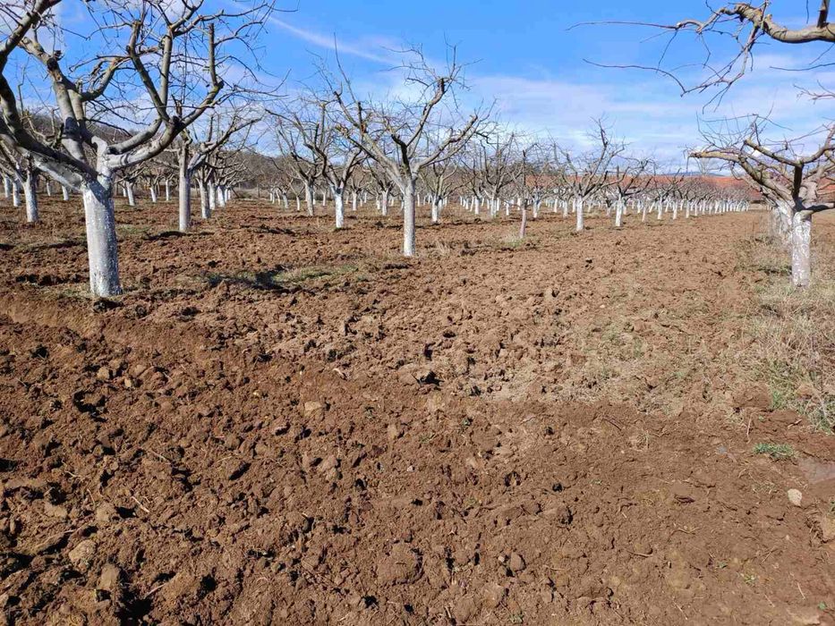 Продава се Земеделски имот в София, Свобода -  кв.м за 1666 €/дка - Снимка #1