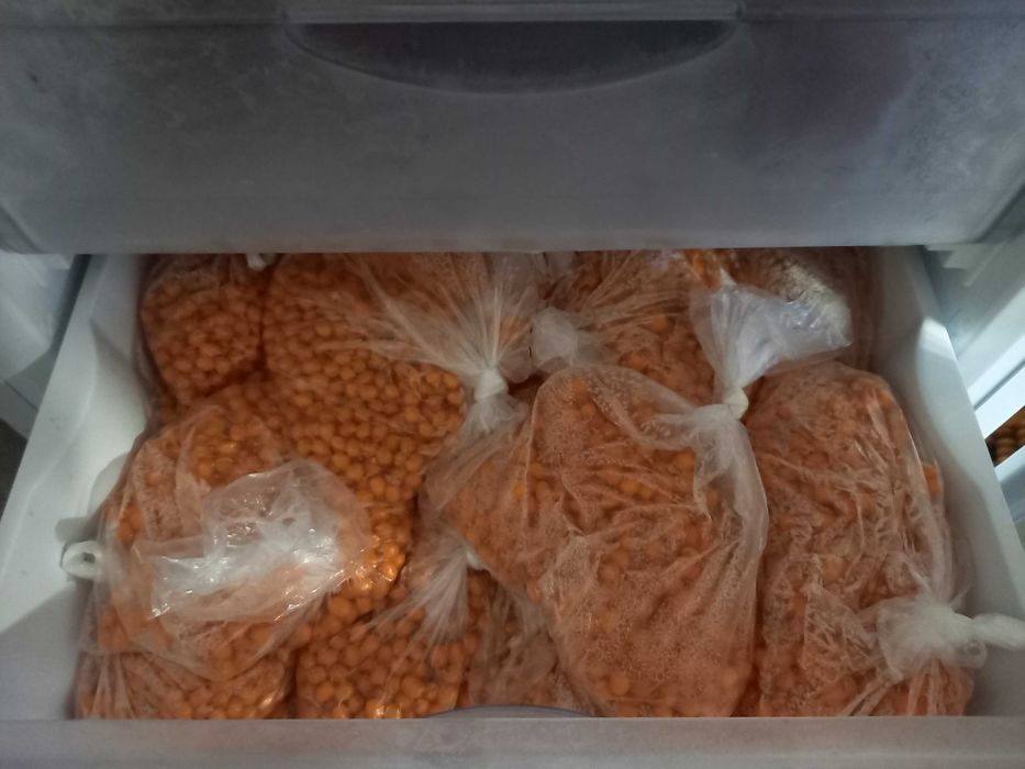 Облепиха дачная крупная.