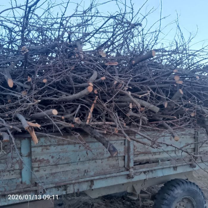 Utin sotiladi narxi kelishiladi