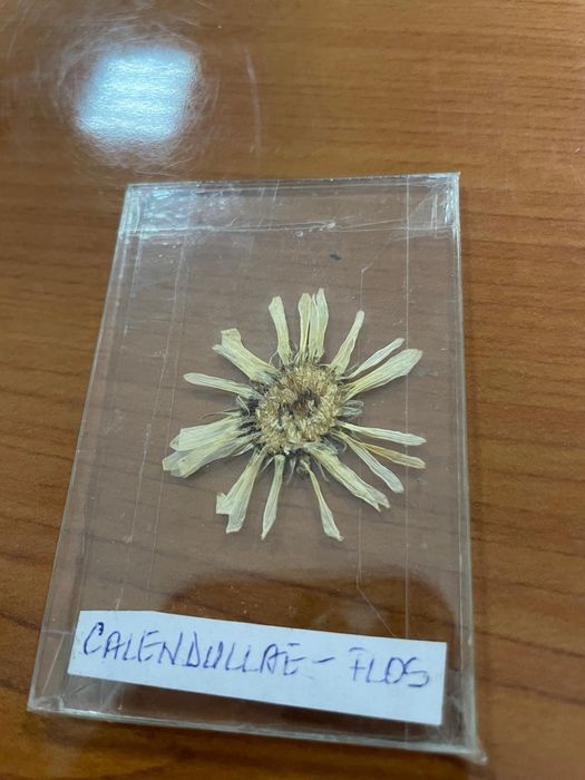 Realizez Ierbar la cerere