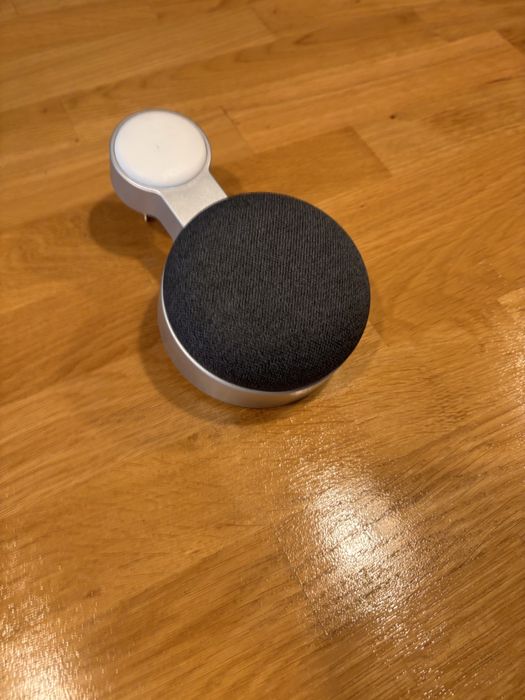 Google home mini