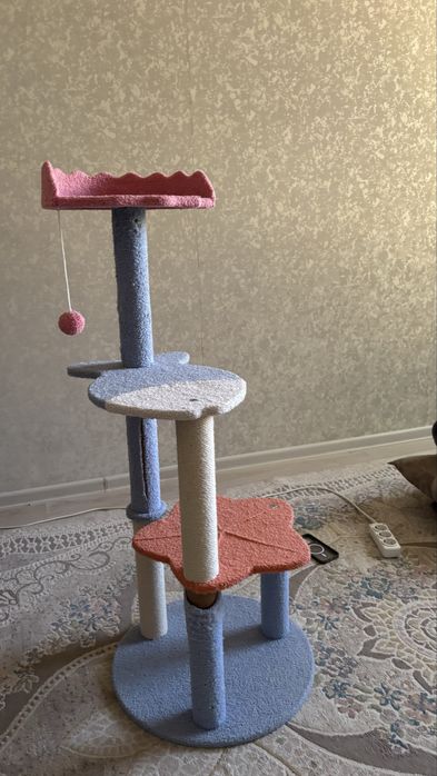 Дом для котят и игрушка для котят