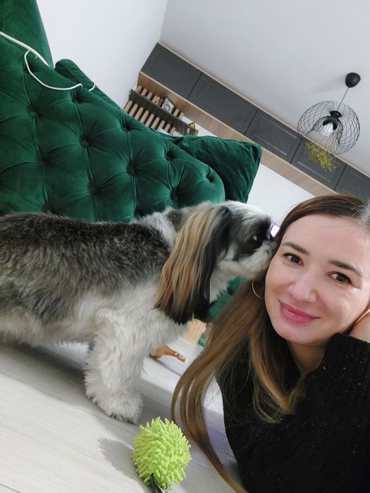 Pet Sitting Premium în familie. Liniște, grijă și siguranță pentru cățelul tău