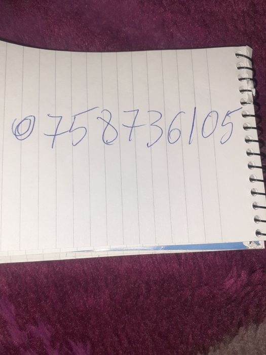 Vând berbeci și berbecuți