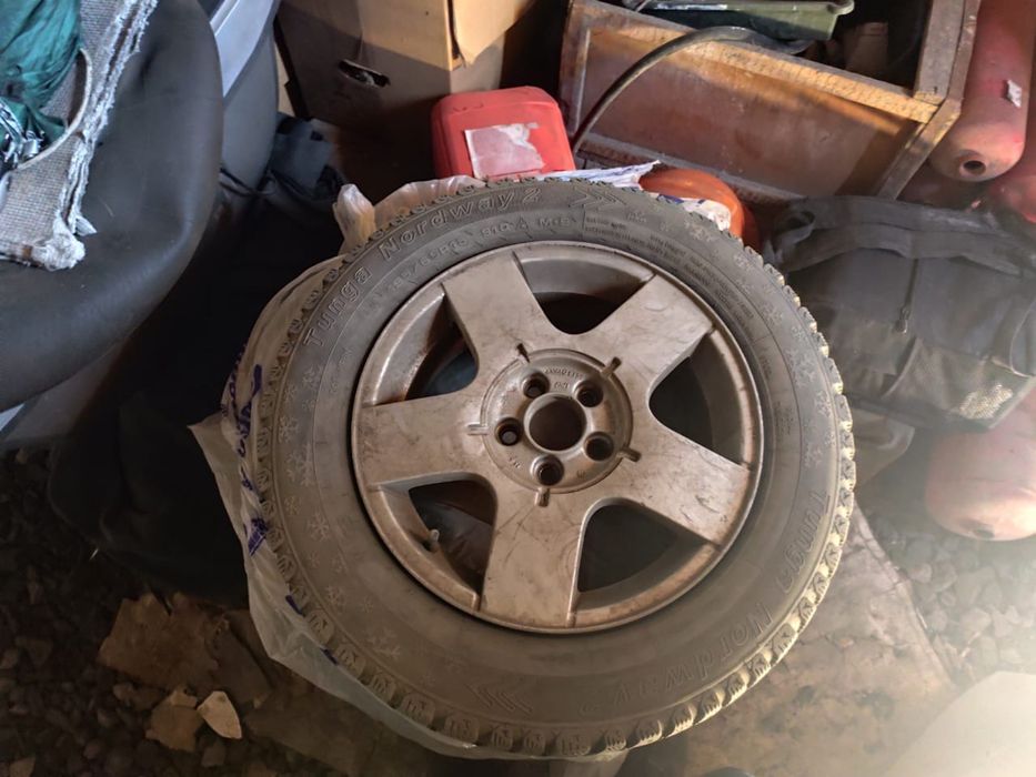 Жағдайы жақсы шипы дөңгелек