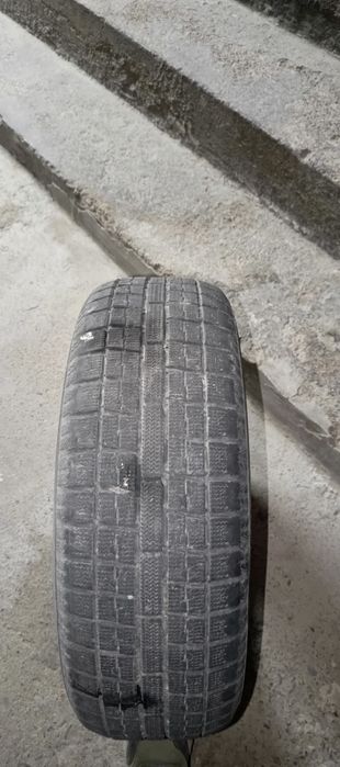 Зимняя резина одна