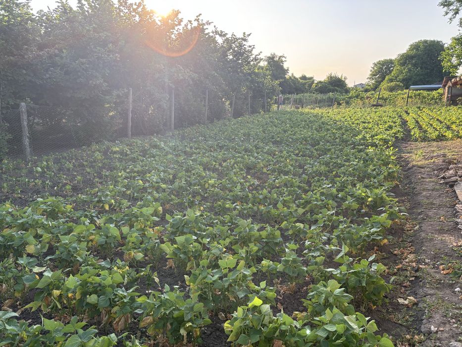 къща в с.Методиево