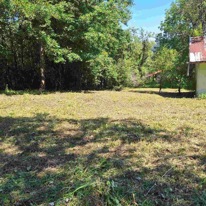 Поддръжка и почистване на зелени площи/Косене на трева