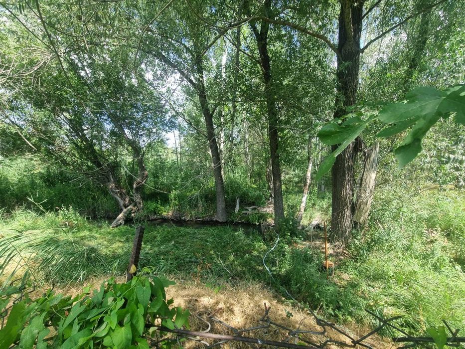 Продажа дачного участка