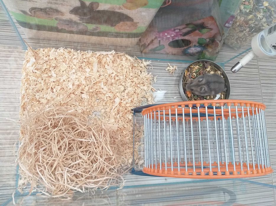 Acvariu pesti sau hamsteri 30x60cm complet echipat + hamsteri bonus