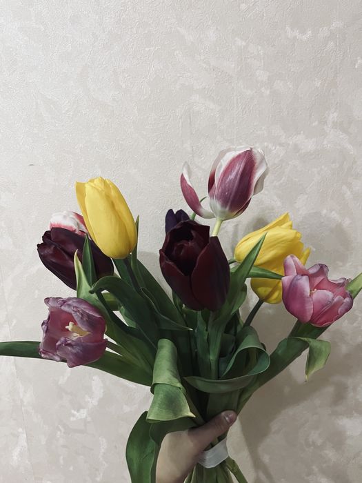 Продвм тюльпаны 2500