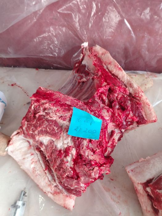 Свежее мясо свинины