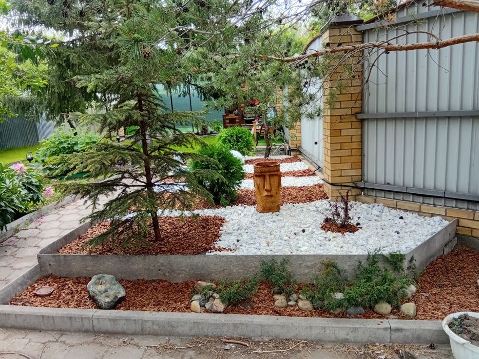 Саженцы / Цветы / Благоустройство