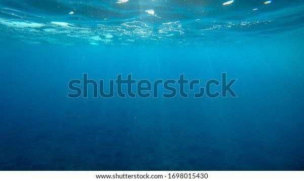 3D ФОН для аквариума из оракала