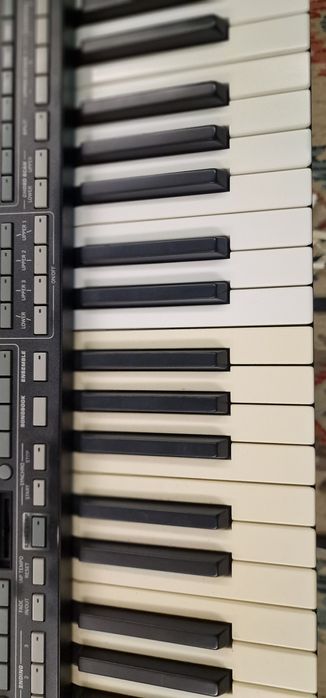 Recondiționare(albire) claviaturi Korg Pa3x,Pa4x,Pa2x,Pa1x