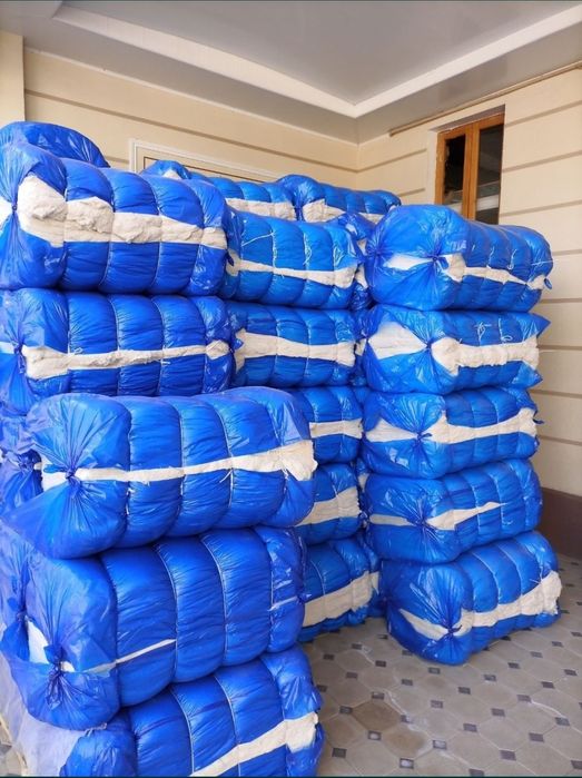 Toy paxta Paxtadek Oppoq