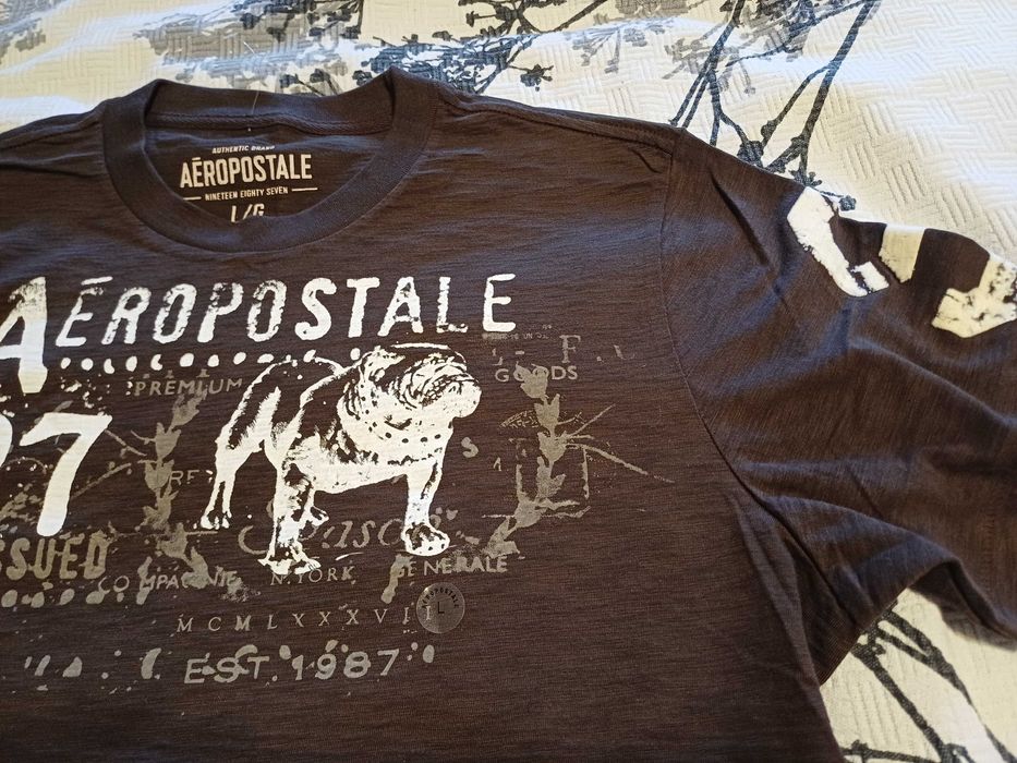 Мъжка тениска Aeropostale L