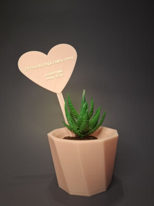 Mărturii botez personalizate – ghiveci cu suculentă + mesaj gravat