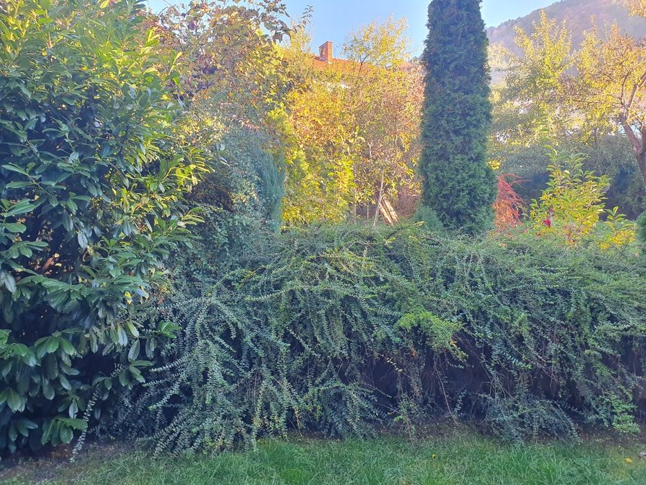 Под наем вила на 200м.от минералният гейзер