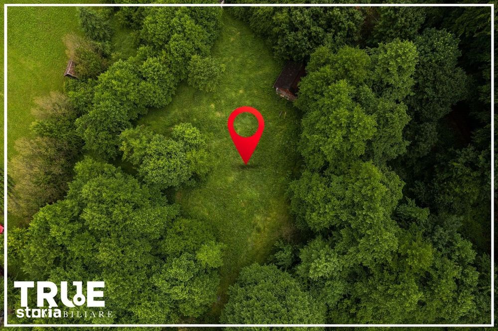 Teren intravilan 2.800 m² în Câmpu Cetății – liniște și natură