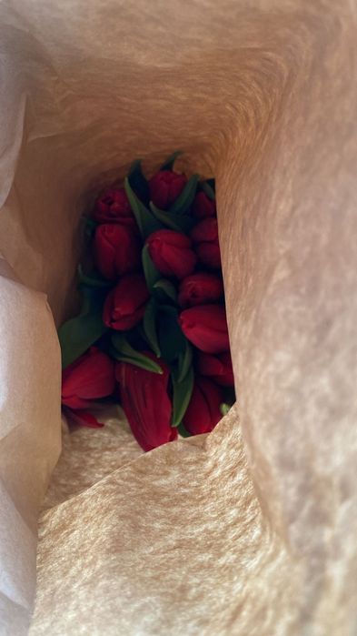 Тюльпаны на 8 марта