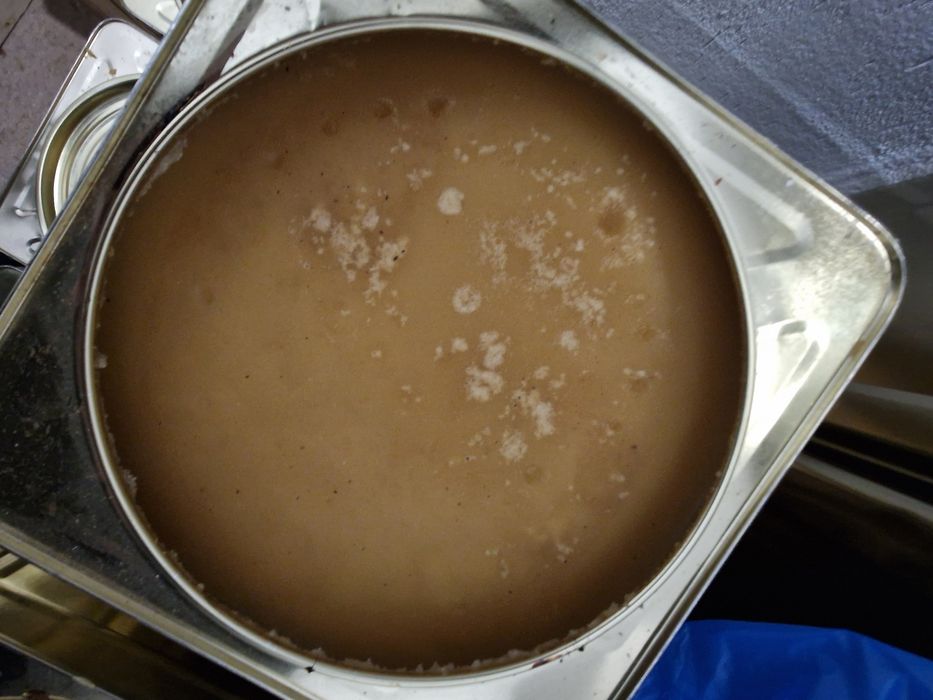 Пчелен мед билков 2025г за Варна безплатна доставка